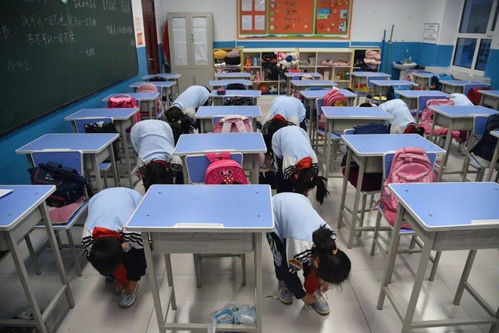 五育并舉 服務雙減 塔河一小勞動教育創新檢測策略的實踐與探索